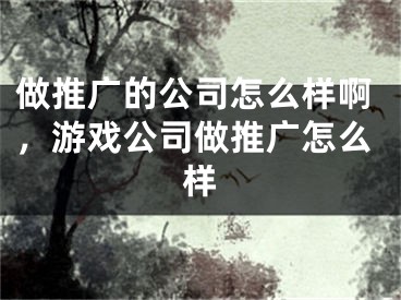 做推广的公司怎么样啊，游戏公司做推广怎么样