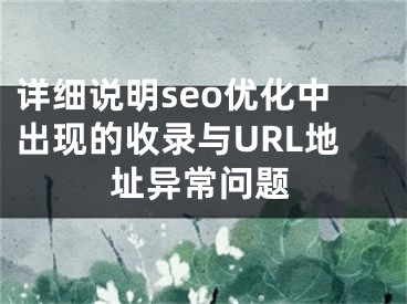 详细说明seo优化中出现的收录与URL地址异常问题