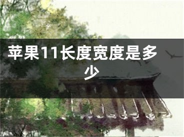 苹果11长度宽度是多少