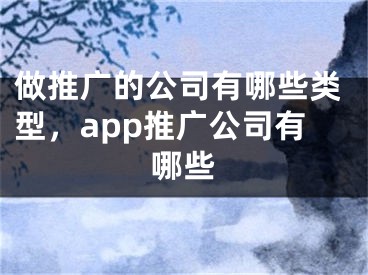 做推广的公司有哪些类型，app推广公司有哪些