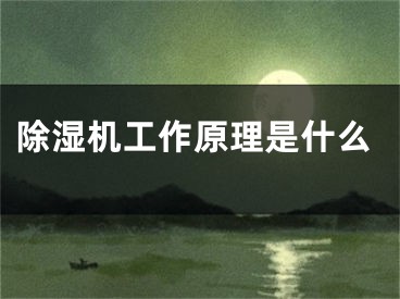 除湿机工作原理是什么