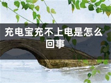 充电宝充不上电是怎么回事