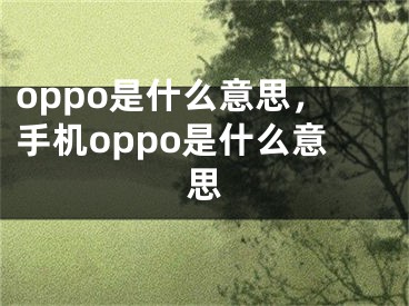 oppo是什么意思，手机oppo是什么意思