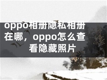 oppo相册隐私相册在哪，oppo怎么查看隐藏照片