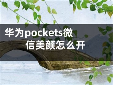 华为pockets微信美颜怎么开