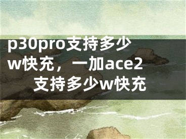 p30pro支持多少w快充，一加ace2支持多少w快充