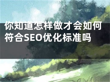 你知道怎样做才会如何符合SEO优化标准吗 