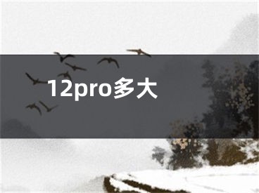 12pro多大