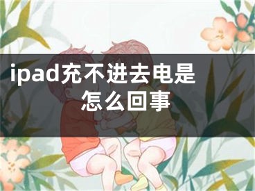 ipad充不进去电是怎么回事