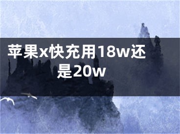 苹果x快充用18w还是20w