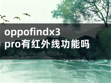 oppofindx3pro有红外线功能吗