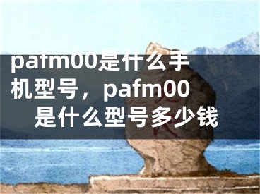 pafm00是什么手机型号，pafm00是什么型号多少钱