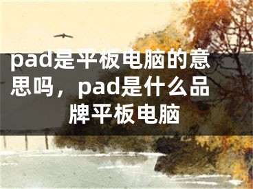 pad是平板电脑的意思吗，pad是什么品牌平板电脑