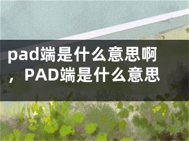pad端是什么意思啊，PAD端是什么意思