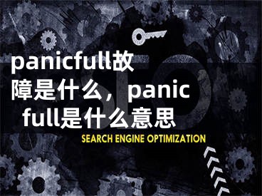 panicfull故障是什么，panicfull是什么意思