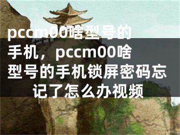 pccm00啥型号的手机，pccm00啥型号的手机锁屏密码忘记了怎么办视频