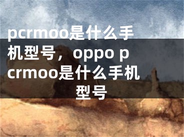 pcrmoo是什么手机型号，oppo pcrmoo是什么手机型号