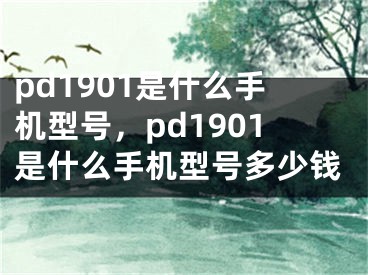 pd1901是什么手机型号，pd1901是什么手机型号多少钱