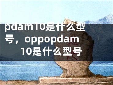 pdam10是什么型号，oppopdam10是什么型号