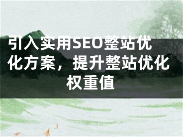 引入实用SEO整站优化方案，提升整站优化权重值