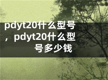 pdyt20什么型号，pdyt20什么型号多少钱