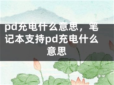 pd充电什么意思，笔记本支持pd充电什么意思