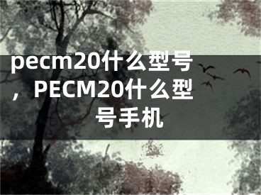 pecm20什么型号，PECM20什么型号手机