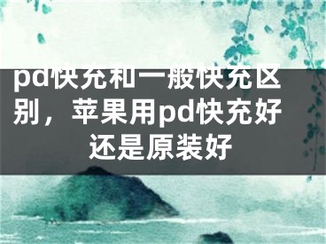 pd快充和一般快充区别，苹果用pd快充好还是原装好