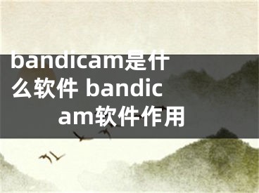 bandicam是什么软件 bandicam软件作用