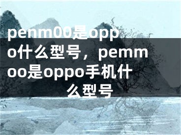 penm00是oppo什么型号，pemmoo是oppo手机什么型号
