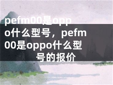 pefm00是oppo什么型号，pefm00是oppo什么型号的报价