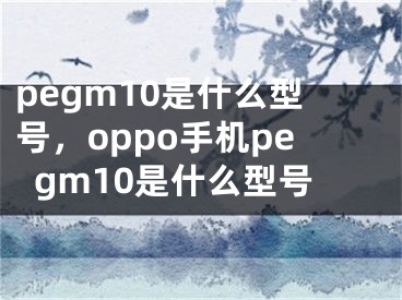 pegm10是什么型号，oppo手机pegm10是什么型号