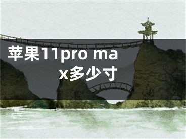 苹果11pro max多少寸