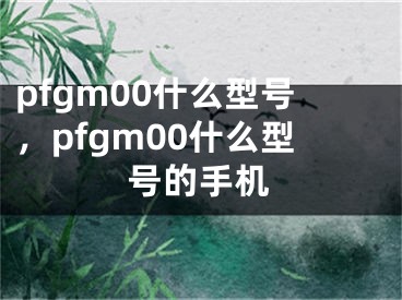 pfgm00什么型号，pfgm00什么型号的手机