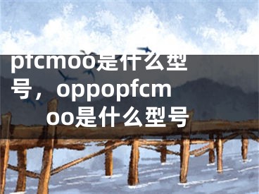 pfcmoo是什么型号，oppopfcmoo是什么型号