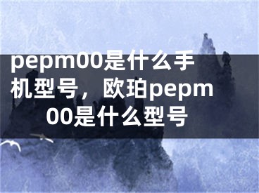 pepm00是什么手机型号，欧珀pepm00是什么型号