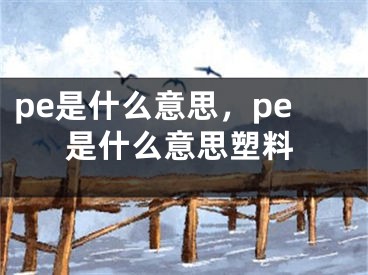 pe是什么意思，pe是什么意思塑料