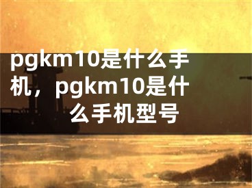 pgkm10是什么手机，pgkm10是什么手机型号