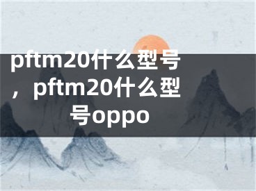 pftm20什么型号，pftm20什么型号oppo