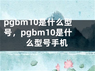 pgbm10是什么型号，pgbm10是什么型号手机