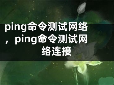 ping命令测试网络，ping命令测试网络连接