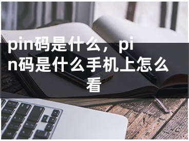 pin码是什么，pin码是什么手机上怎么看