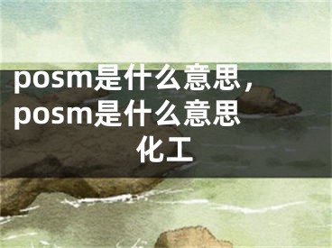 posm是什么意思，posm是什么意思 化工