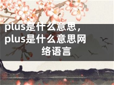 plus是什么意思，plus是什么意思网络语言