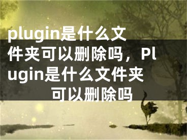 plugin是什么文件夹可以删除吗，Plugin是什么文件夹可以删除吗