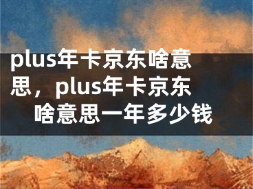 plus年卡京东啥意思，plus年卡京东啥意思一年多少钱