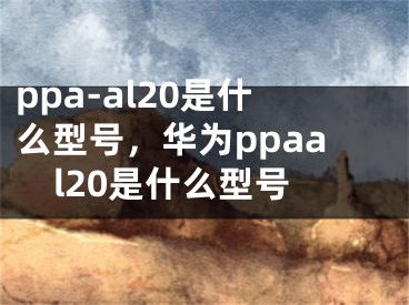 ppa-al20是什么型号，华为ppaal20是什么型号