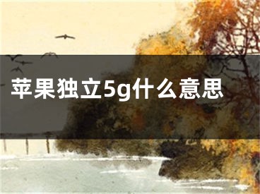 苹果独立5g什么意思