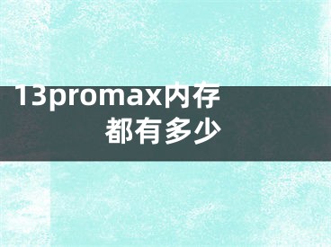 13promax内存都有多少