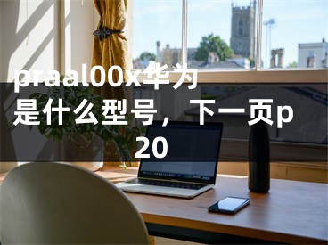 praal00x华为是什么型号，下一页p20